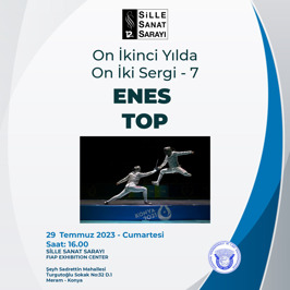 12. YILDA 12. SERGİ ENES TOP