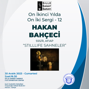 12. YILDA 12 SERGİ HAKAN BAHÇECİ