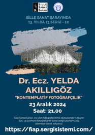 13. YILDA 13 SERGİ 12 Dr. Ecz. YELDA AKILLIGÖZ